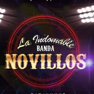 Banda Novillos Guadalajara